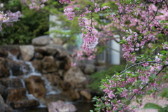 4月3日 岡本南公園 ７