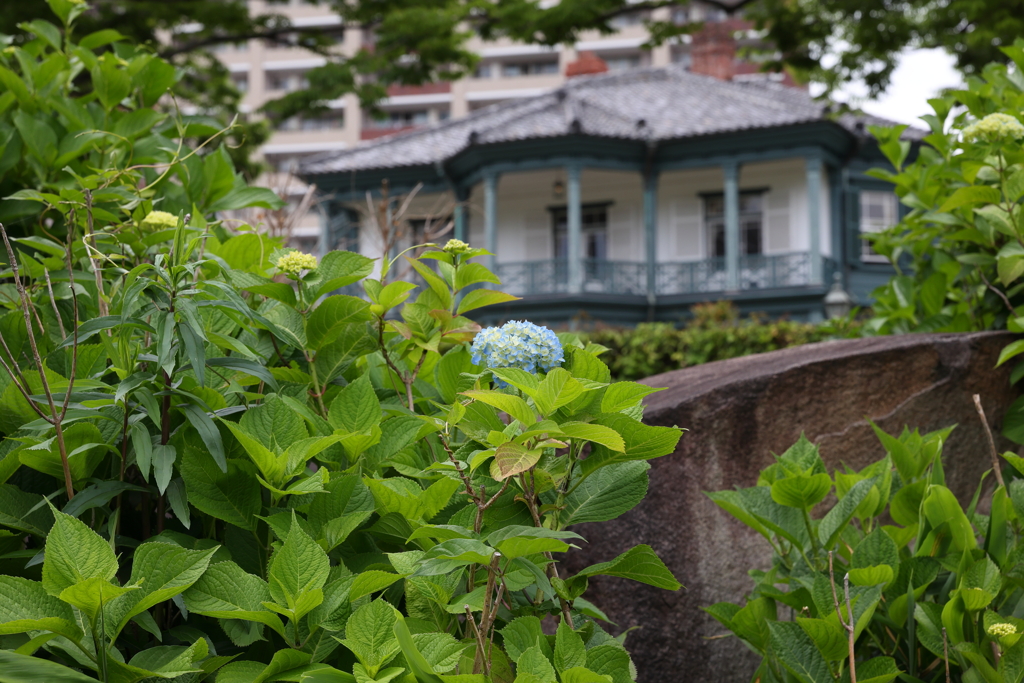 5月15日 相楽園 １