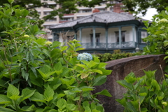 5月15日 相楽園 １