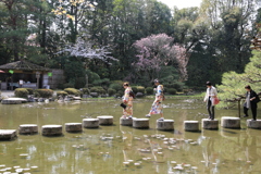 3月29日 京都 8 3月29日 京都 8