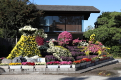 11月7日 明石公園 19