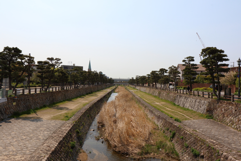 4月16日 散歩 ７