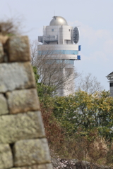 4月2日 明石公園 21