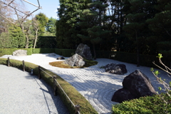 3月20日 京都嵐山 66