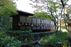 11月16日 相楽園 21
