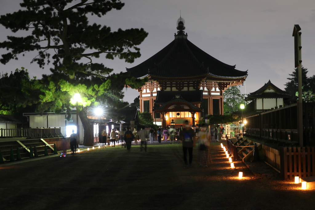 8月14日 なら燈花会 13