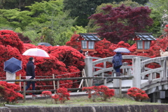 4月18日 長岡天神 14