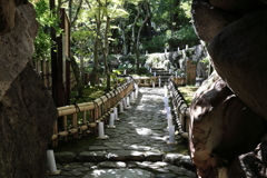 8月27日 相楽園 14