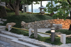 6月6日 天空の農園 21