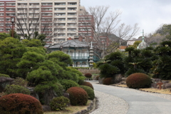3月6日 相楽園 １