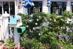 7月2日 USJ