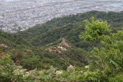 5月14日 長距離散歩 24