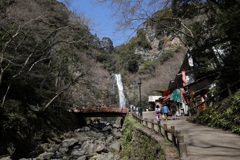 3月12日 箕面公園 13