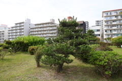 6月4日 垂水舞子 11