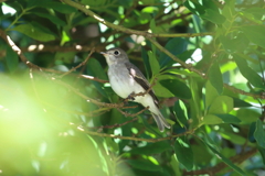 9月25日 明石公園 ４