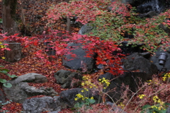 11月23日 京都 19