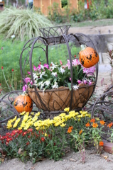 布引ハーブ園 2 布引ハーブ園 2