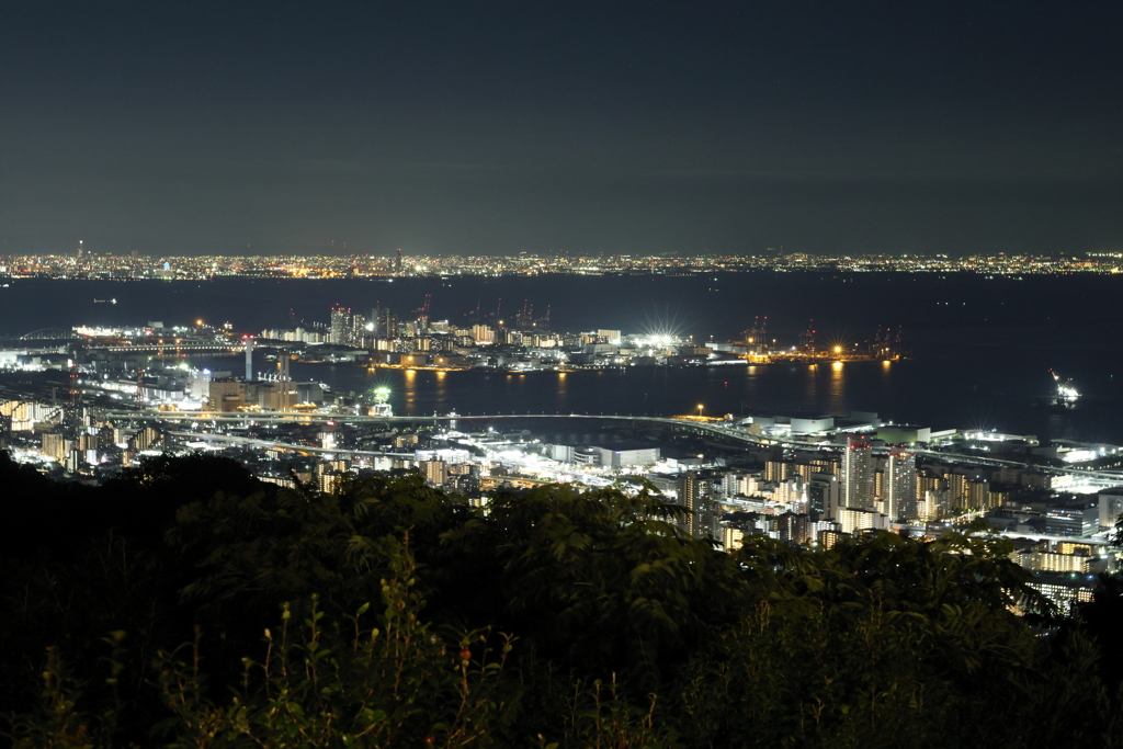 8月10日 布引ハーブ園 20
