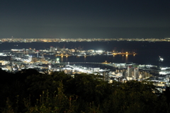 8月10日 布引ハーブ園 20
