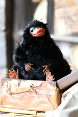 7月25日 USJ 36