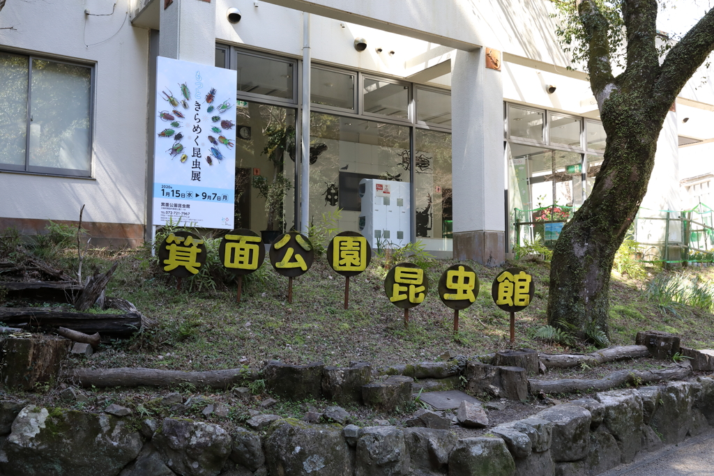 3月12日 箕面公園 ７