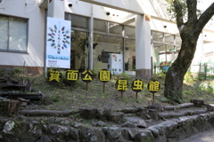 3月12日 箕面公園 ７