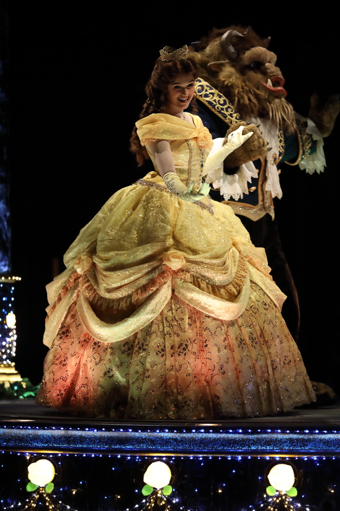 11月22日 東京ディズニーランド 88