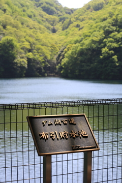 5月4日お散歩 布引ハーブ園 2 5月4日お散歩 布引ハーブ園 2