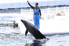 8月11日 京都水族館 ２
