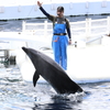 8月11日 京都水族館 ２