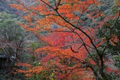 12月7日 布引の滝 32
