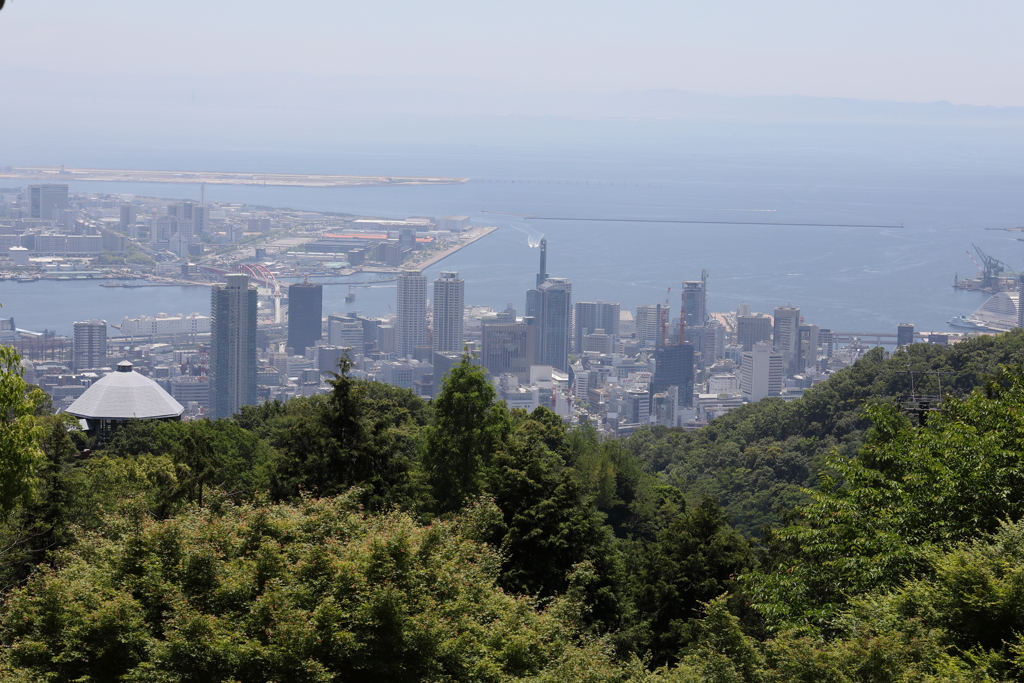 5月28日 布引ハーブ園 28