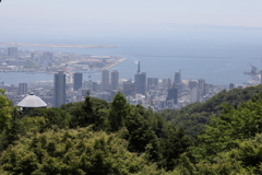 5月28日 布引ハーブ園 28