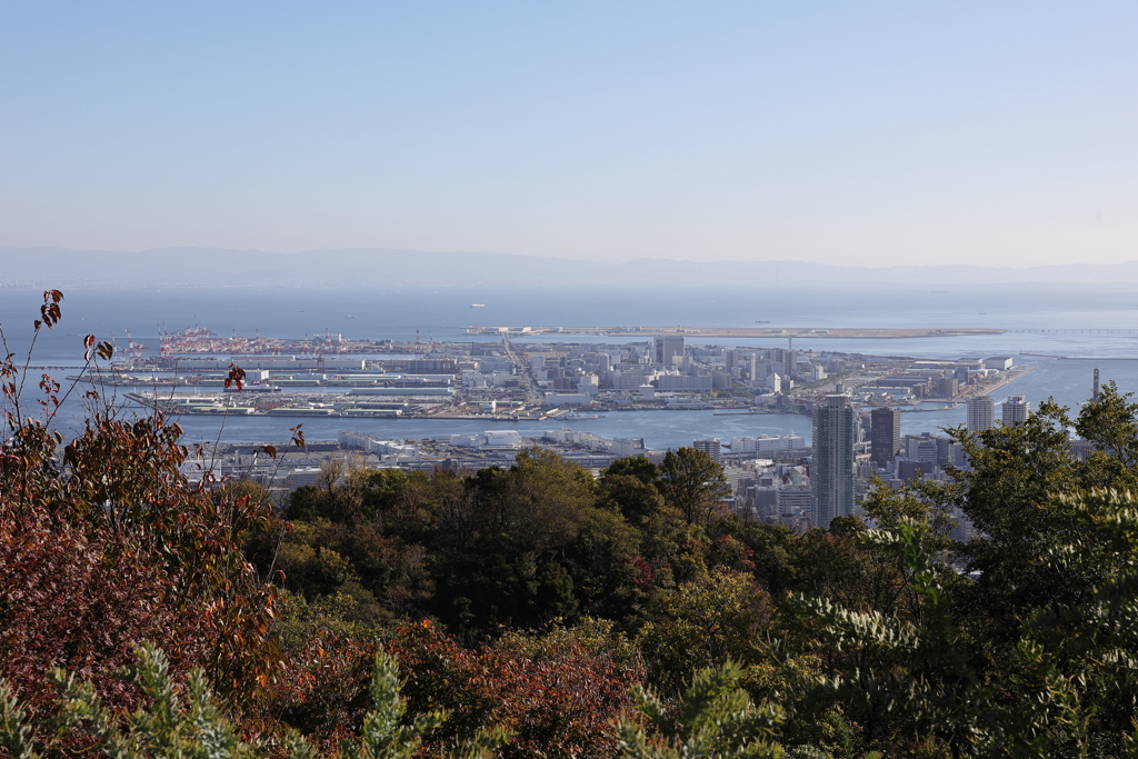 11月14日 布引ハーブ園 14