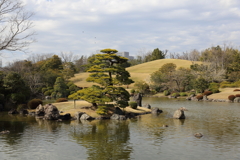 3月19日 万博記念公園 32