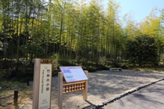 3月19日 万博記念公園 20