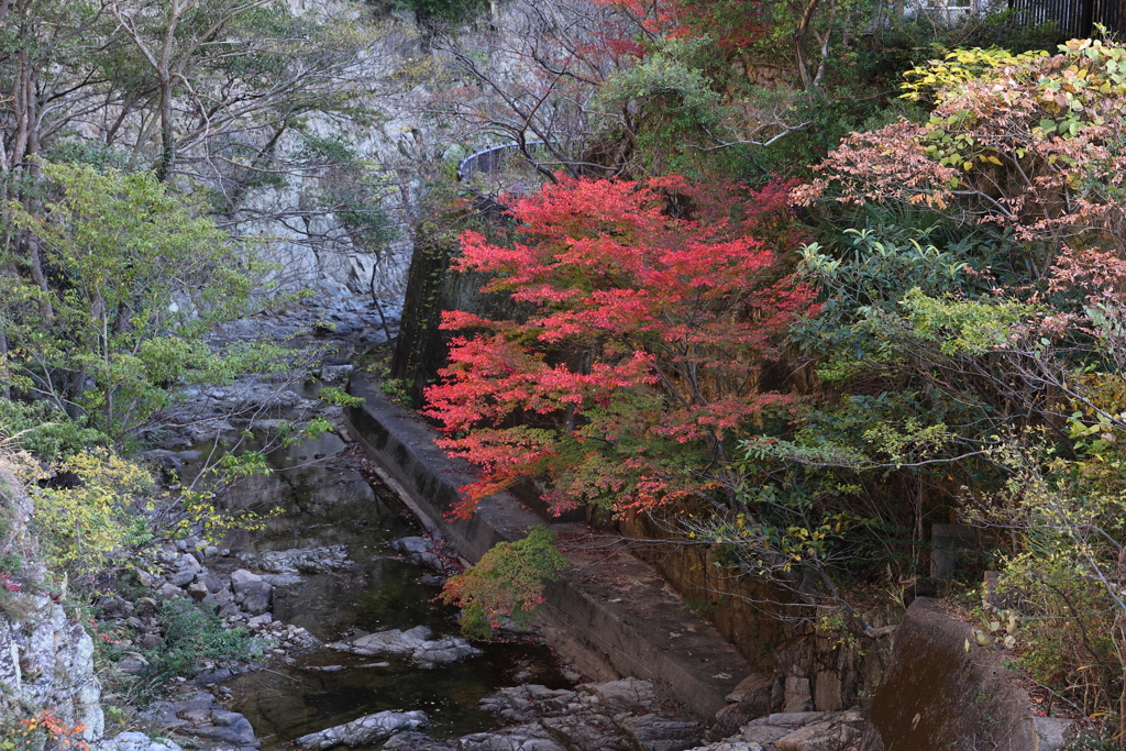 11月14日 布引の滝 ５