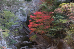 11月14日 布引の滝 ５