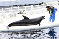 8月11日 京都水族館 ５