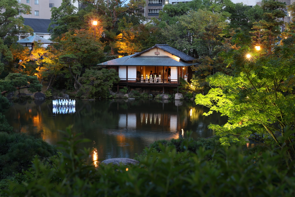 7月27日 相楽園 ４