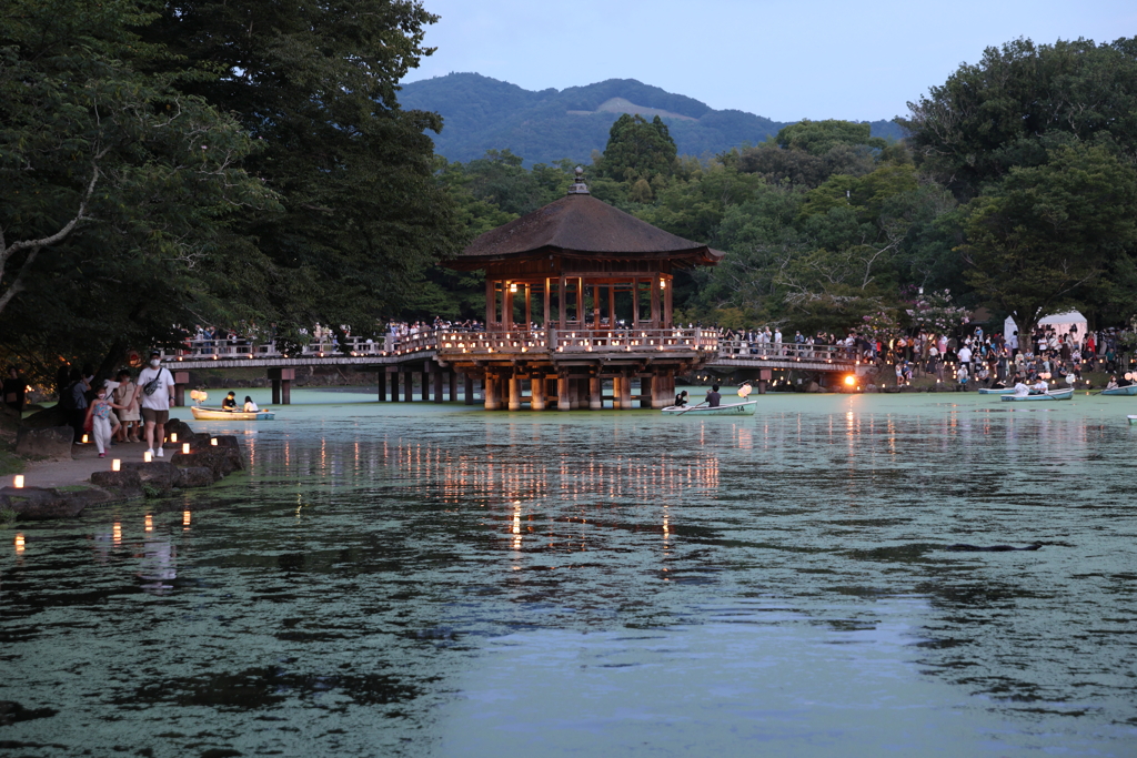 8月14日 なら燈花会 ３