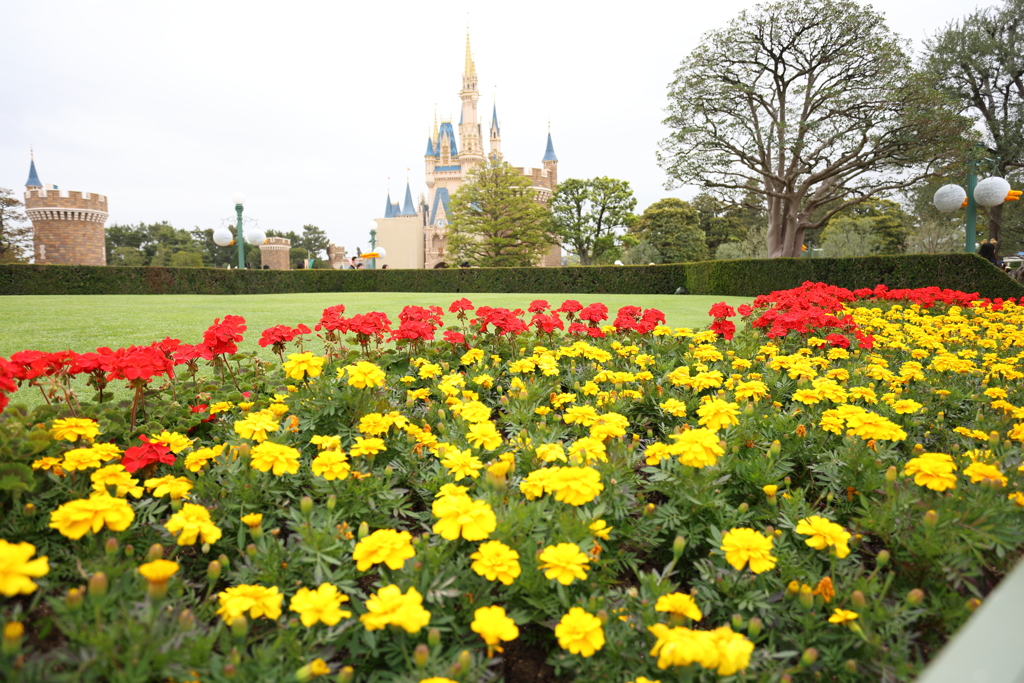 4月18日 東京ディズニー・ランド 15