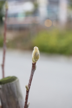 2月14日　お散歩
