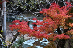 11月14日 布引の滝 ７