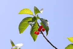 4月25日 散歩 １