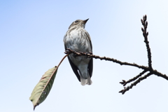 10月16日 明石公園 16