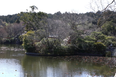 3月20日 京都嵐山 46