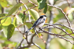 10月16日 明石公園 ５