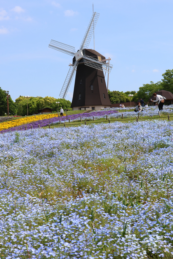 5月4日 鶴見緑地 １