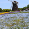 5月4日 鶴見緑地 １